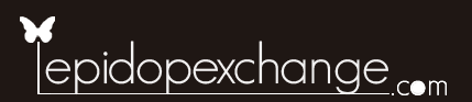 Lepidopexchange Logo